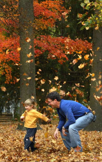 2014: Fall is in the air